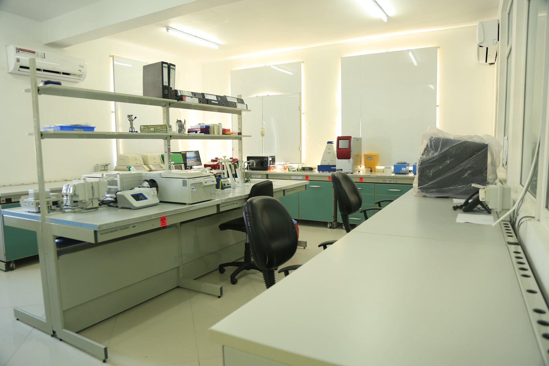 Molecular & Genomic Analysis