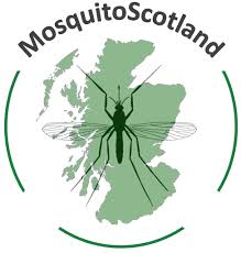 Mosquito Scotland